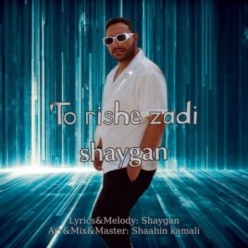 دانلود آهنگ شایگان تو ریشه زدی